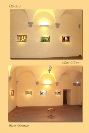 SALA 3 - MAEC